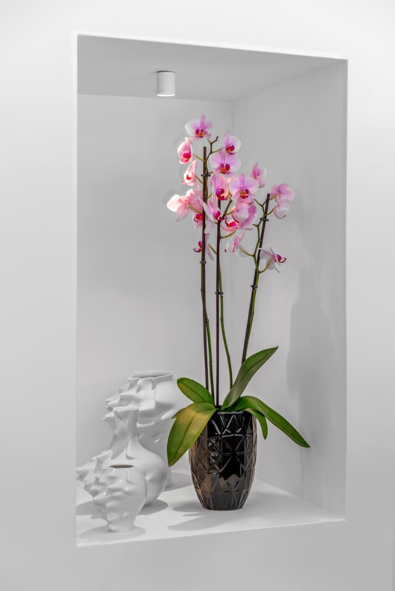 Dom na sprzedaż – Guardamar del Segura