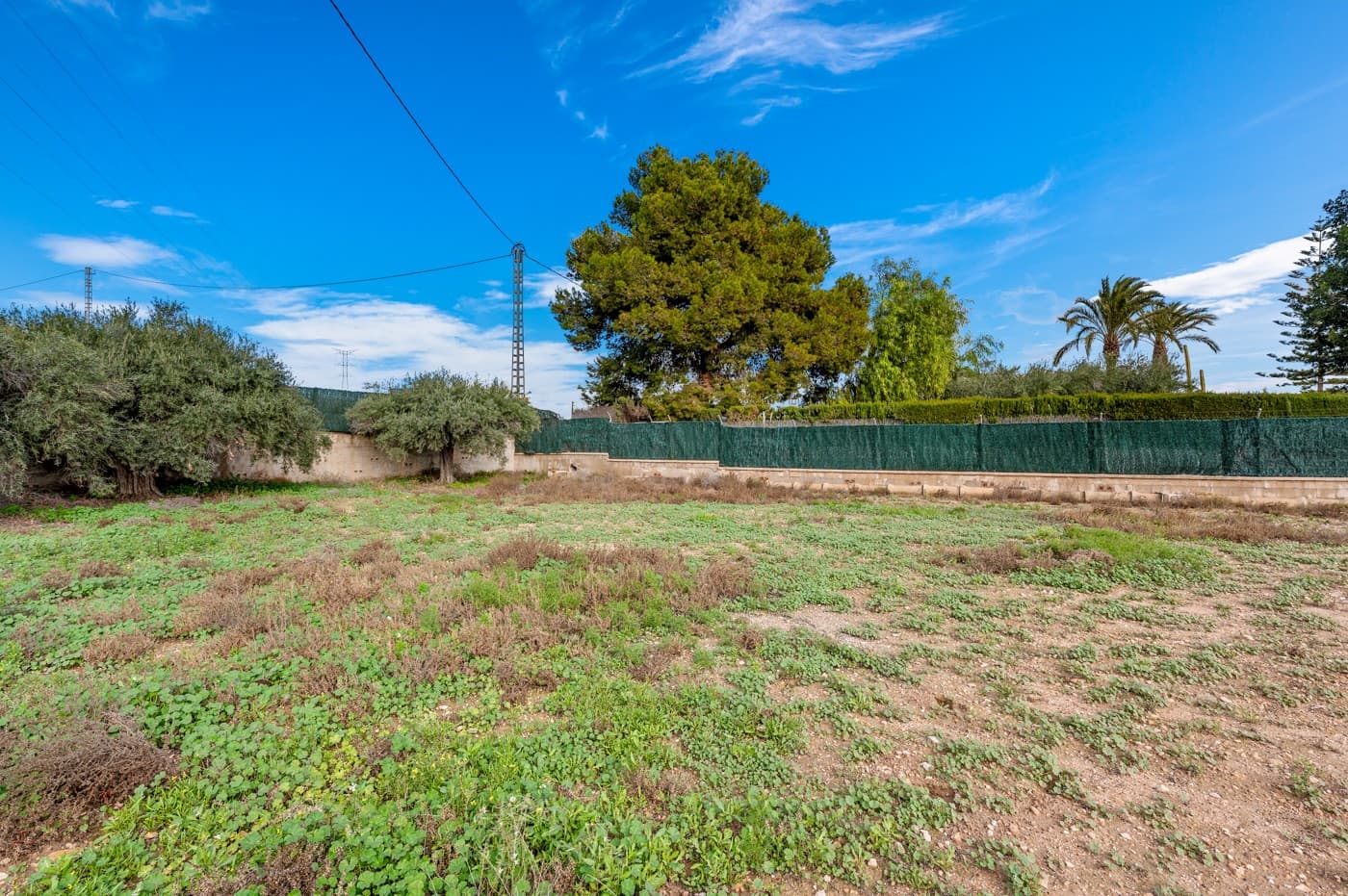 Dom na sprzedaż – Elche/Elx