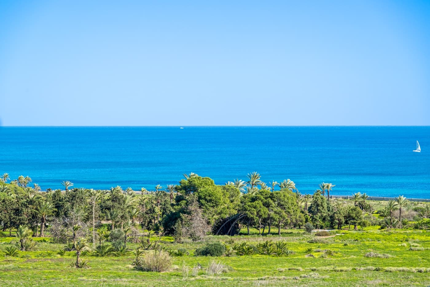 Mieszkanie na sprzedaż – Punta Prima