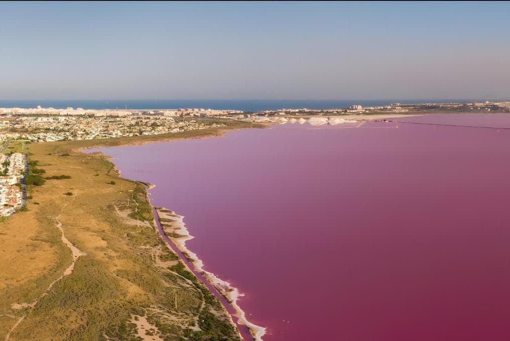 Dom na sprzedaż – Torrevieja