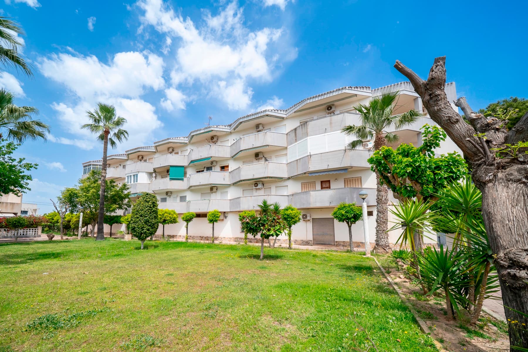 Mieszkanie na sprzedaż – Cabo Roig